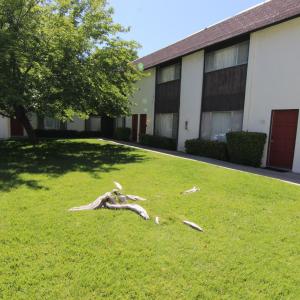 10310 El Camino Real Unit 5 - 2 bedrooms, 1.5 baths