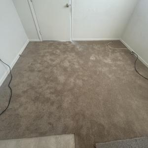 6440 Ardilla #5 - *Studio*